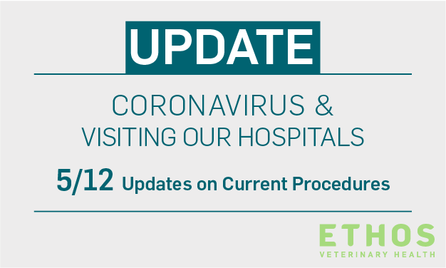 COVID-19 precautions at Ethos Veterinary Health hospitals